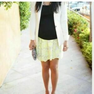 Vanessa Virginia for Anthropologie skirt sz 4